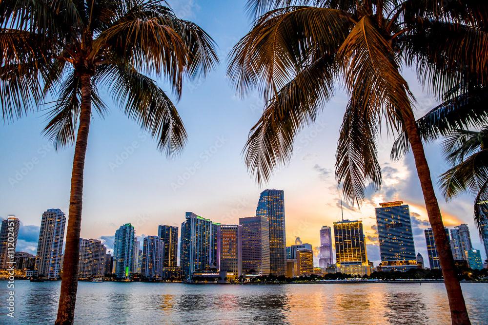 Miami skyline
